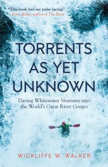 Cover image for Torrents As Yet Unknown